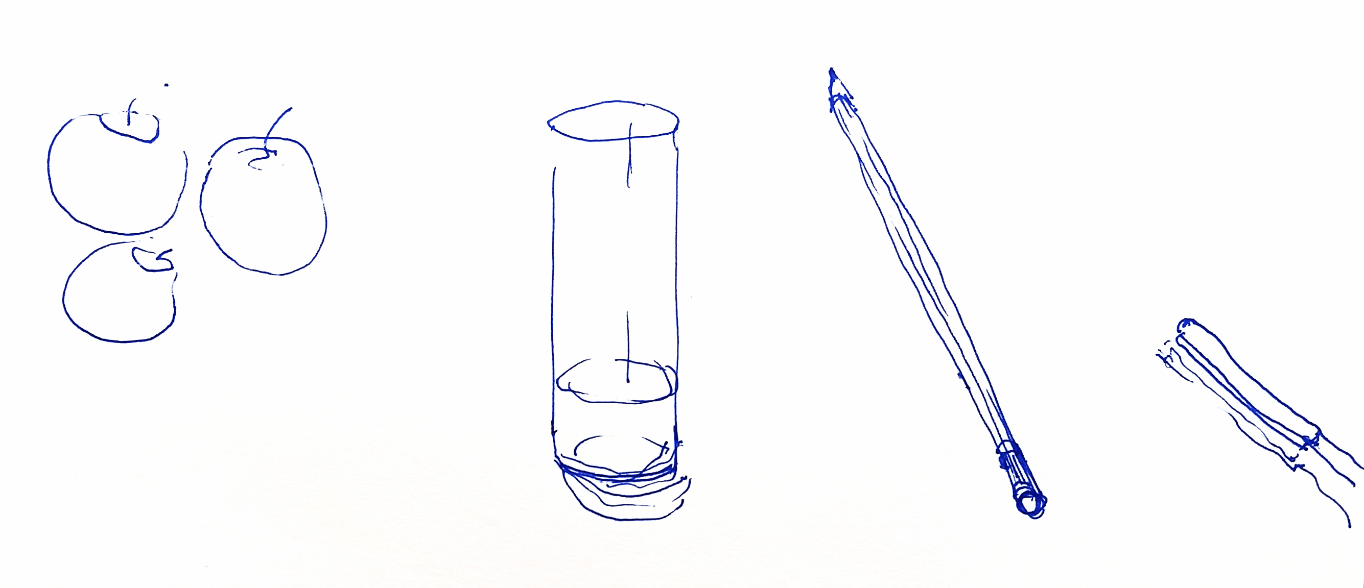 Still life study